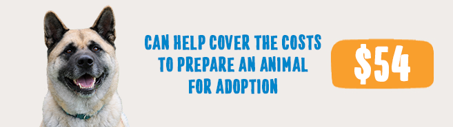 Dog beside text explaining that $54 can help cover the costs of preparing an animal for adoption.